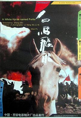 看剧不睡觉